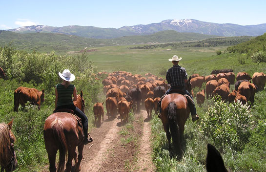 Unique Colorado Real Estate Opportunity â€“ Learn New Skills on the Ranch from Marabou's Master Guides