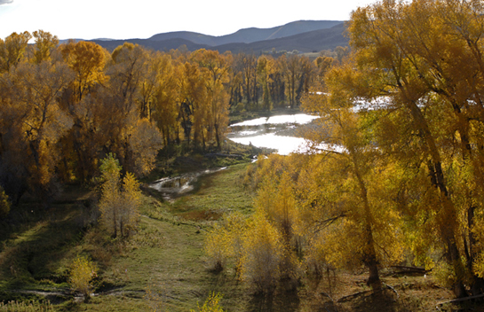 Colorado Land in the Fall