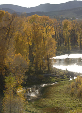 Marabou Ranch, Steamboat Springs, CO