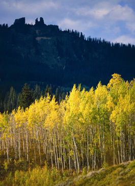 Marabou Ranch, Steamboat Springs, CO