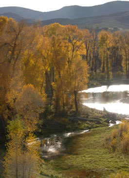 Colorado Ranch Sustainability - Eco Friendly Practices on Marabou's Mountain Ranch Property