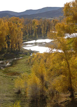 Marabou's Shared Ranches - Colorado Ranch Property for Sale near Steamboat Springs